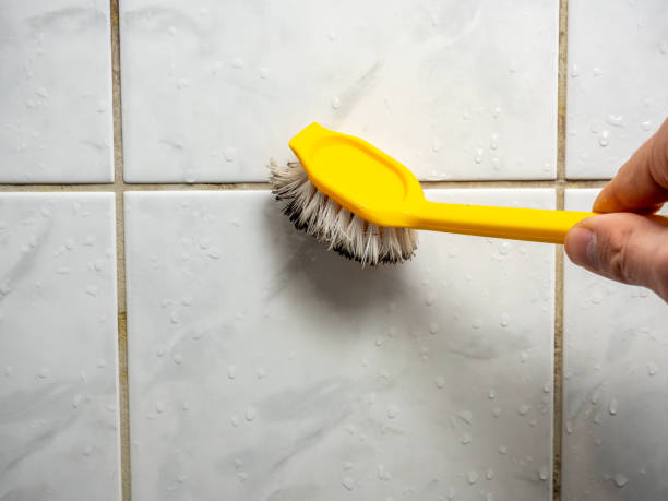 Best Best Mold Removal Companies  in Helotes, TX