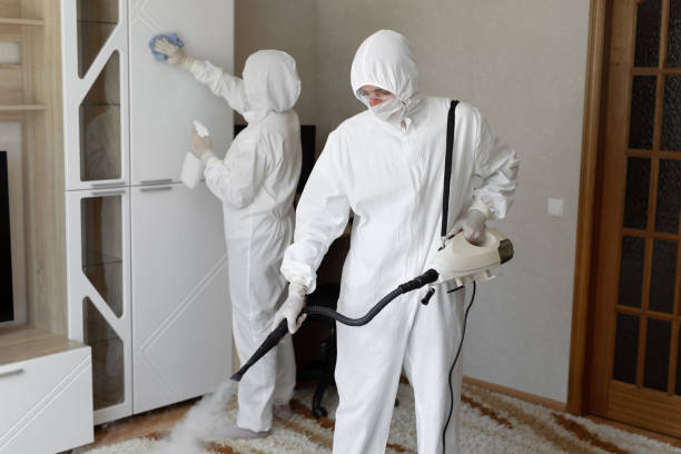 Best Residential Mold Removal  in Helotes, TX