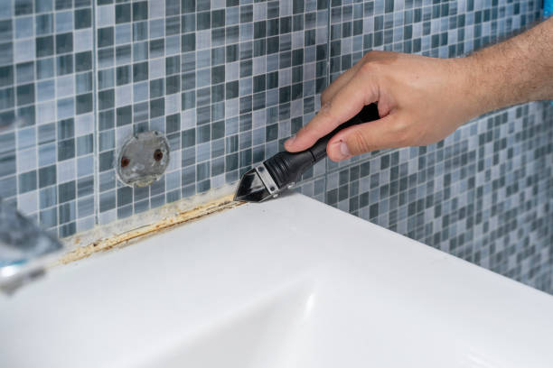 Best Mold Removal Near Me  in Helotes, TX